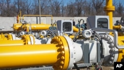 За даними FT, цю ідею підтримують деякі представники Німеччини й Угорщини, а також низки інших країн Євросоюзу