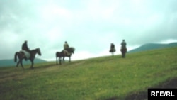 Кыргызстанда 9,1 млн. гектар жайыт бар