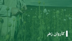  سیدعلی: با اتهام فروش مواد مخدر زندانی و شکنجه شدم 