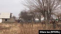 То, что осталось от села Женис после наводнения. 5 декабря 2020 года.