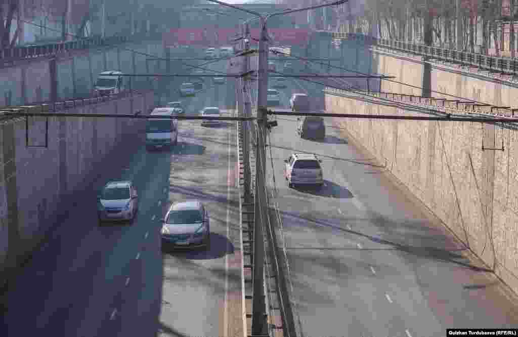 Манас проспектиси.&nbsp;