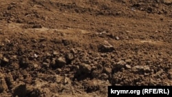 Ілюстративне фото