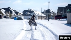 Техас зимой