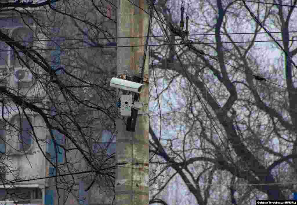 Жол эрежесин бузган айдоочу айыпты 1 айдын ичинде төлөөгө милдеттүү. Ал белгиленген мөөнөттө айыпты төлөбөсө үстүнө туум кошулат.