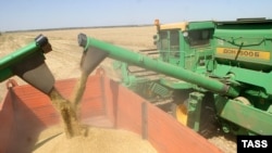 G8 вернет зерно крестьянам, но отнимет солому у коров