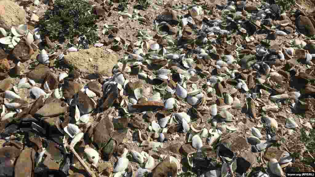 Починаючи з вересня, російська влада Криму вперше за роки анексії півострова вирішила запровадити в Сімферополі погодинну подачу води