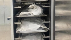 Պատգամավորը հանցագործություն է որակում Աբովյանի դիահերձարանում տեղի ունեցածը