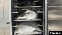 Иллюстрация.