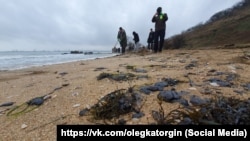 Сбор мазута после крушения российских танкеров в Керченском проливе, 22 декабря 2024 г.