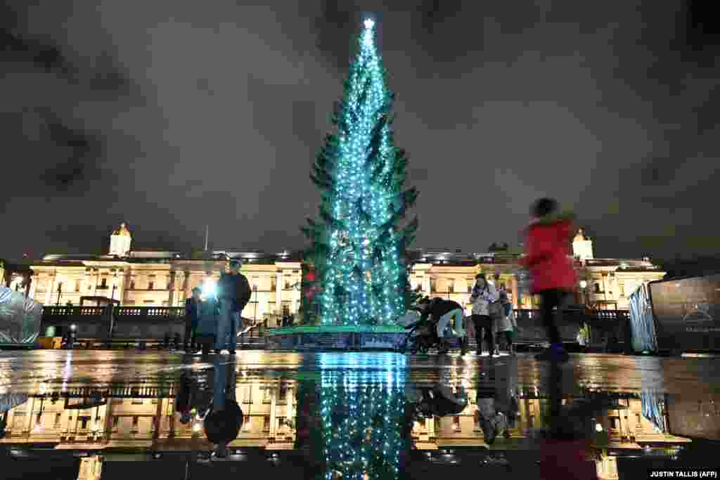 Лондон, Великобританія. Невід&#39;ємний новорічний атрибут встановили традиційно на Трафальгарській площі.&nbsp;Дерево є щорічним подарунком Великобританії від Норвегії, який дарується як символ дружби та співпраці між двома країнами