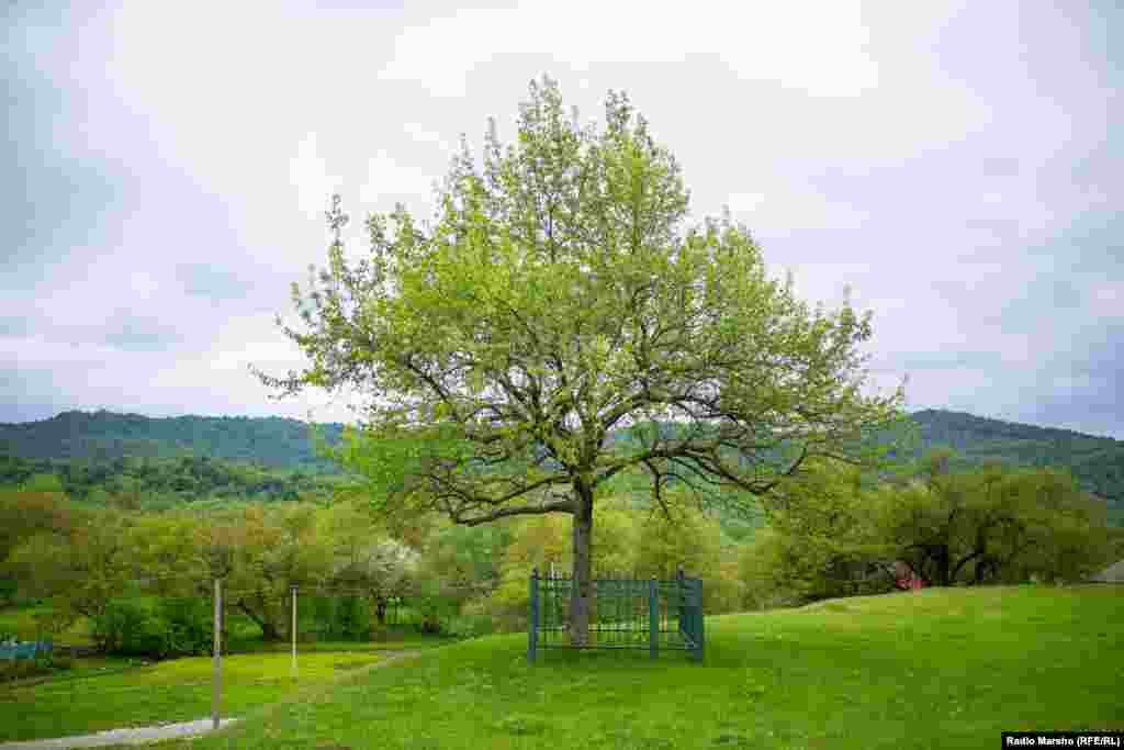 Устаз Соип Молла садаIа хийшина дитт.