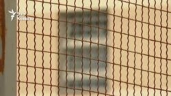 Высшее образование в тюрьме?