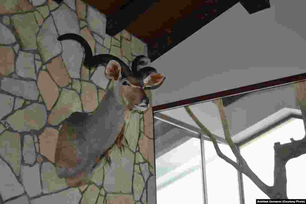 Аркардын кеби.