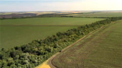 Довкола дороги є кілька лісосмуг, місцевість доволі відкрита