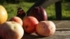 Да 13,8 рубля за кіляграм. Чаму ў Беларусі дарагія яблыкі