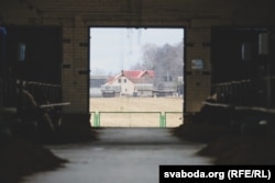 Малочна-таварная фэрма «Сьліжы», якую раскрытыкаваў Лукашэнка