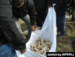 Бедел ашуусундагы жыйналган сөөктөр. Архив сүрөт.