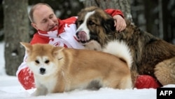 Путин Баффи һәм Конни белән