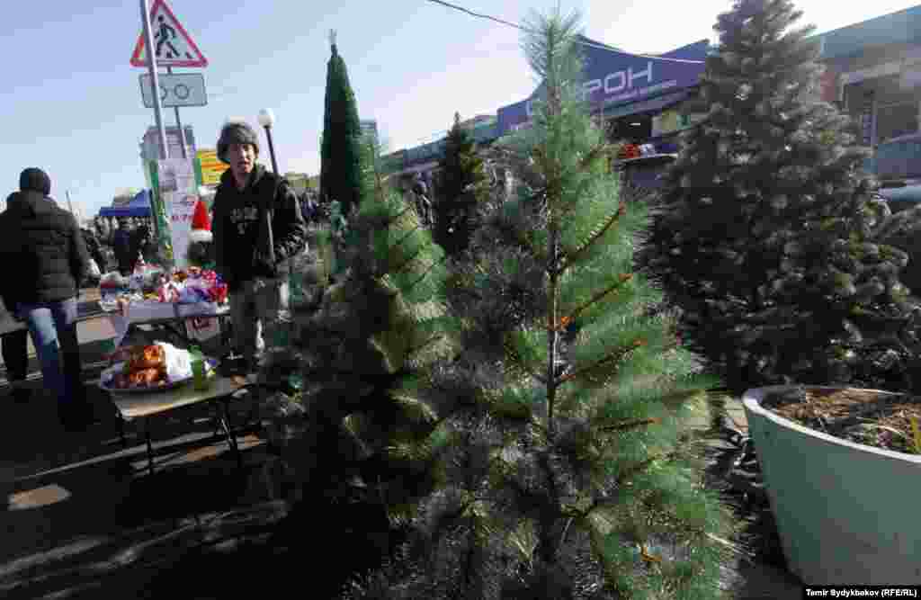 Балатынын орточо баасы 4000-5000 сомдун тегерегинде болот.