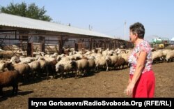 Ольга Попова развивает животноводство на полученные в рамках программы «Украинский донецкий куркуль» деньги в Донецкой области