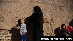 آرشیف - کمپاین واکسین ضد پولیو در ولایت هرات