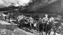 Ария сгоревшего пармезана