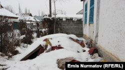 Айнагүл Карабаеванын сыртта кар алдында калган жүктөрү