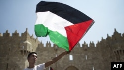 Палестинанын желегин көтөрүп турган жигит. 