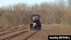 Татарстанда язгы чәчү, архив фотосы