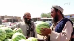 تربوز کندز به نیم قیمت به فروش می‌رسد