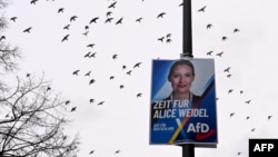 «Այլընտրանք Գերմանիայի համար» կուսակցության պաստառը