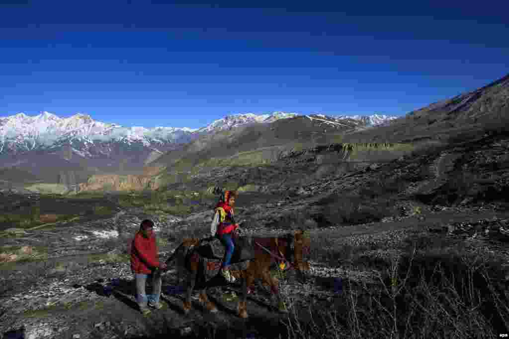 В основному відвідувачі добираються до храму пішки, але для дітей і людей похилого віку робиться виняток &ndash; їх везуть на конях