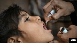 چارواکي وايي چې د خيبر پښتونخوا په جنوبي ضلعو کې د پولیو ناروغانو شمېر زیات شوی دی. پخوانی انځور