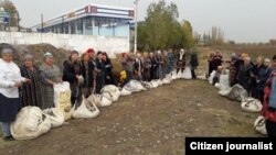 Өзбекстанда пахта терген кыз-келиндер. Сүрөт кайсы учурда тартылганы белгисиз. 