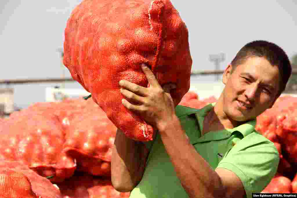 Жер-жерлердеги жүк ташуучу унаалар менен чогултулган картөшкөнүн баары ушул жерге топтолот.&nbsp;