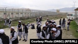 آرشیف، طالبان آزاد شده