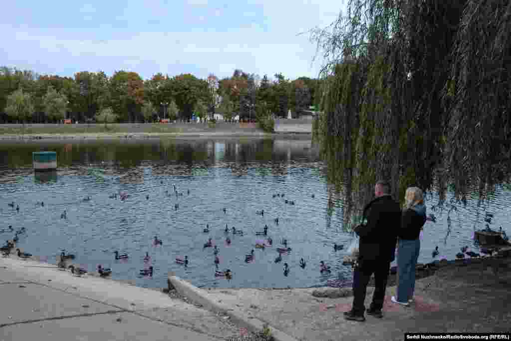 Містяни годують качок на озері в парку Ювілейний