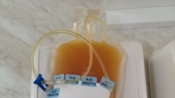 پلاسمای خون اهدا شده.