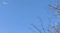 Атака російського БПЛА на авто гуманітарної місії «Проліска»