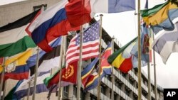 Каля сядзібы UNESCO у Францыі.