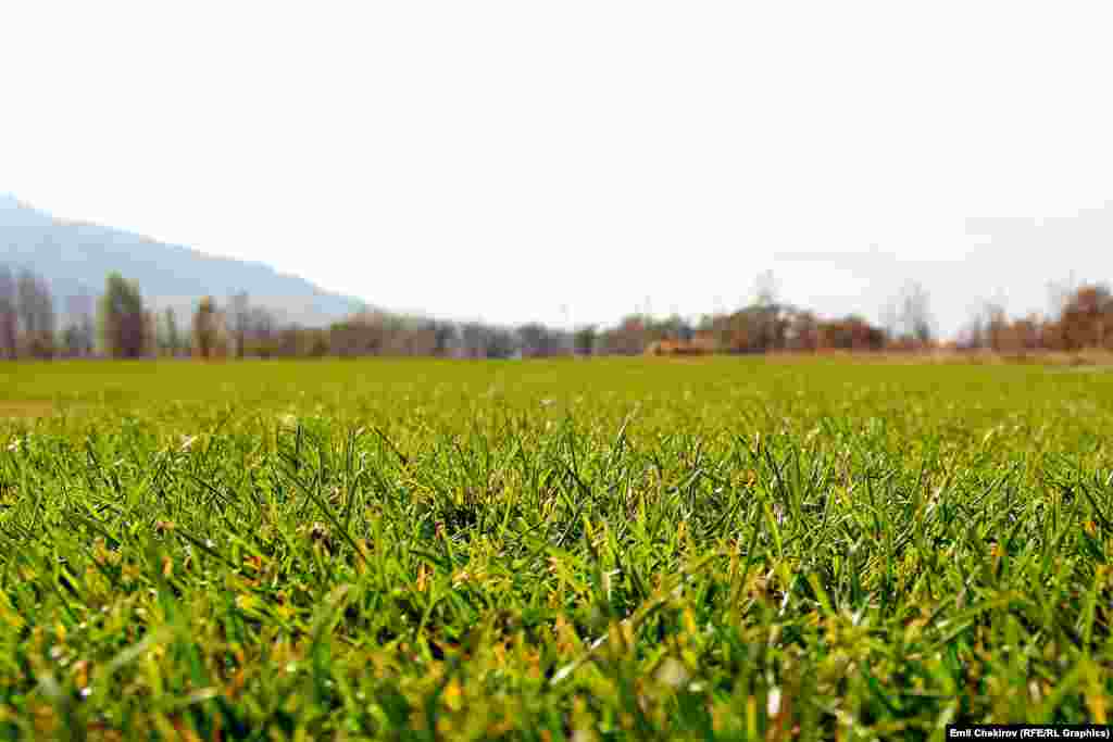 Гольф оюну Кыргызстанда 2002-жылдан баштап ойноло баштаган. Ал кезде Бишкекке жакын Кара-Жыгач айылында 25 гектар аянтты ээлеген аймакка Кыргызстанда иштеген канадалык жарандар гольф аянтын куруп ойношкон экен. 2010-жылы ал аймакка &ldquo;Кленовый лист&rdquo; аталышында клуб түзүлүп, каалоочуларга эшигин ачкан. &nbsp;2011-жылы Кыргыз Республикасынын Гольф федерациясы негизделген. Ошол жылдардан тарта Кыргызстан бул спорттун түрү боюнча Азия-Тынч океан аймагынын конфедерациясына мүчөлүккө кабыл алынып, спортчуларыбыз эл аралык мелдештерге катышууга мүмкүнчүлүк алган.&nbsp; 