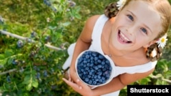 Ілюстраційне фото