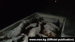 Окуя болгон жерден тартылган сүрөт.