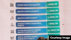 Маалымат жыйында көрсөтүлгөн слайд.