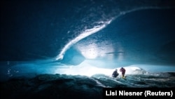«Цей звіт є закликом до дії. Лише швидке зниження рівня викидів CO2 може врятувати льодовики і виняткове біорізноманіття, яке залежить від них»