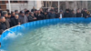 На следующий день после съёмок искусственных водоёмов в селе Ходжакурганча из них исчезла рыба