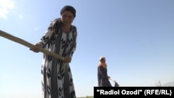 Большая часть малообеспеченного населения проживает в селах