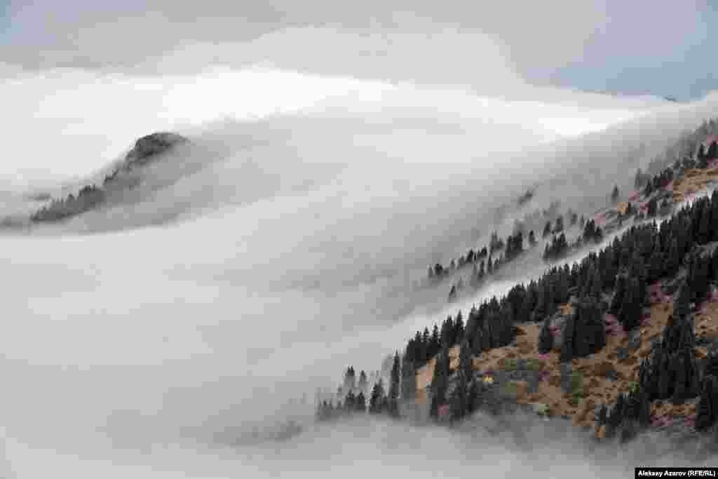 Погодные условия в этих местах не всегда благоприятные. Первый и второй день экспедиции сопровождались дождями, мокрым снегом, сильным ветром. На фото, сделанном по пути к скоплению петроглифов, видно, как облака окутывают горные склоны. Их движение при переваливании через хребты напоминало падение воды в горном водопаде.