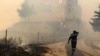 В Алжирі жертвами лісових пожеж стали щонайменше 65 людей