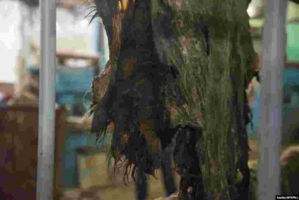 Эшкәртелгән хайван тиресе